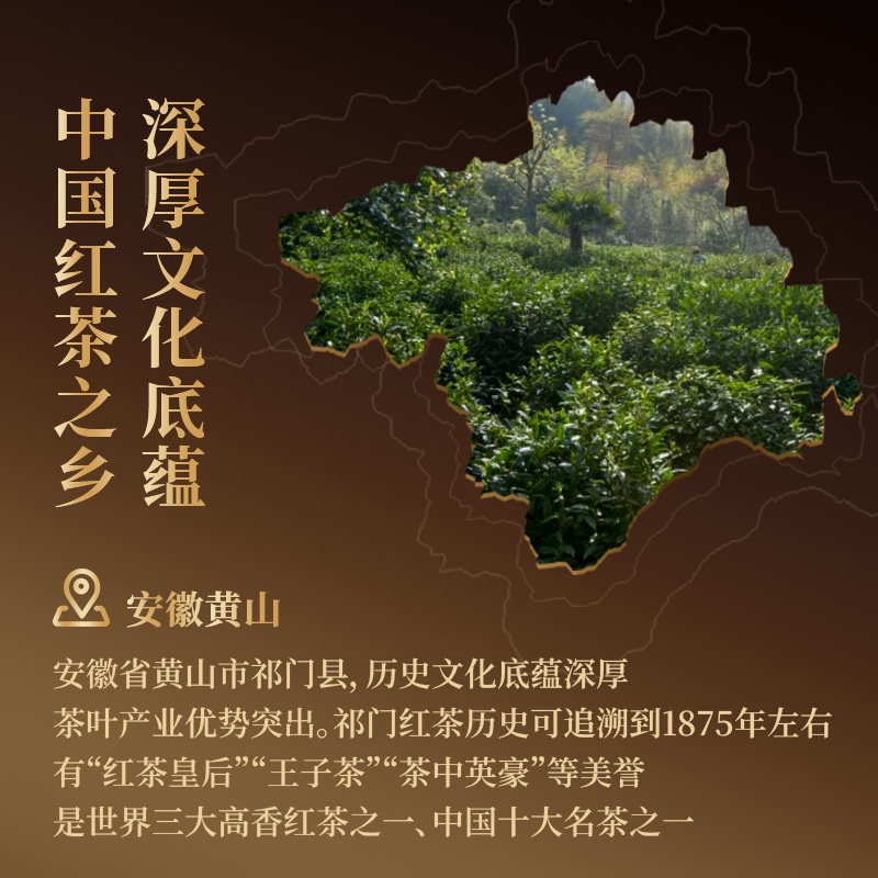 正山堂骏眉中国祁红金针特级祁门红茶正宗安徽高香茶叶罐装送礼,淘宝优惠券,粉丝福利购,淘宝优惠卷