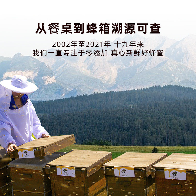 蜂之巢便携条装小包装独立伦晚脐橙 蜂之巢食品蜂蜜