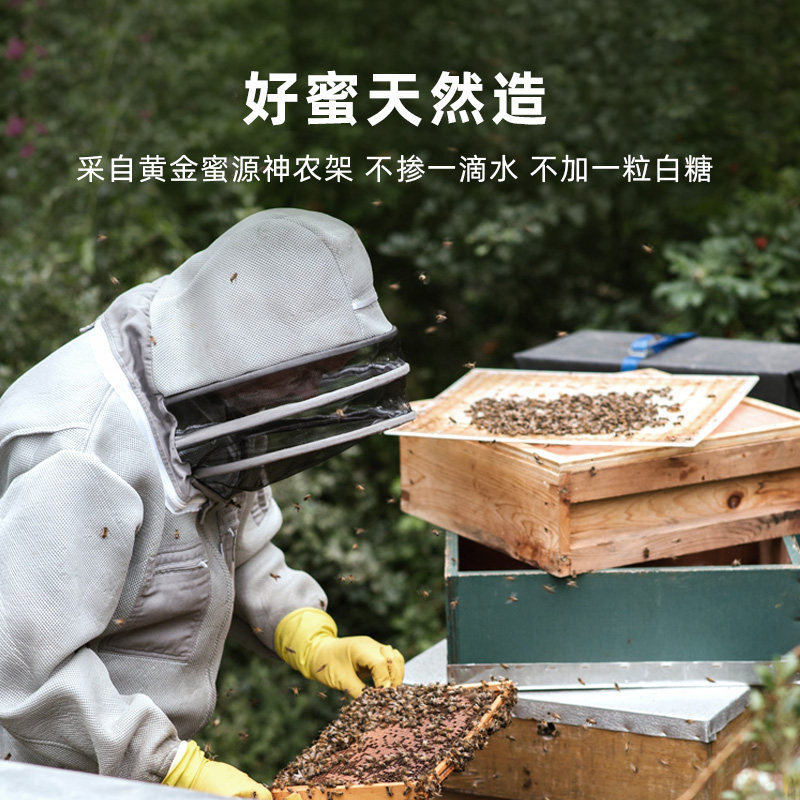 蜂之巢洋槐挤压式便携农家洋槐蜜 蜂之巢食品蜂蜜
