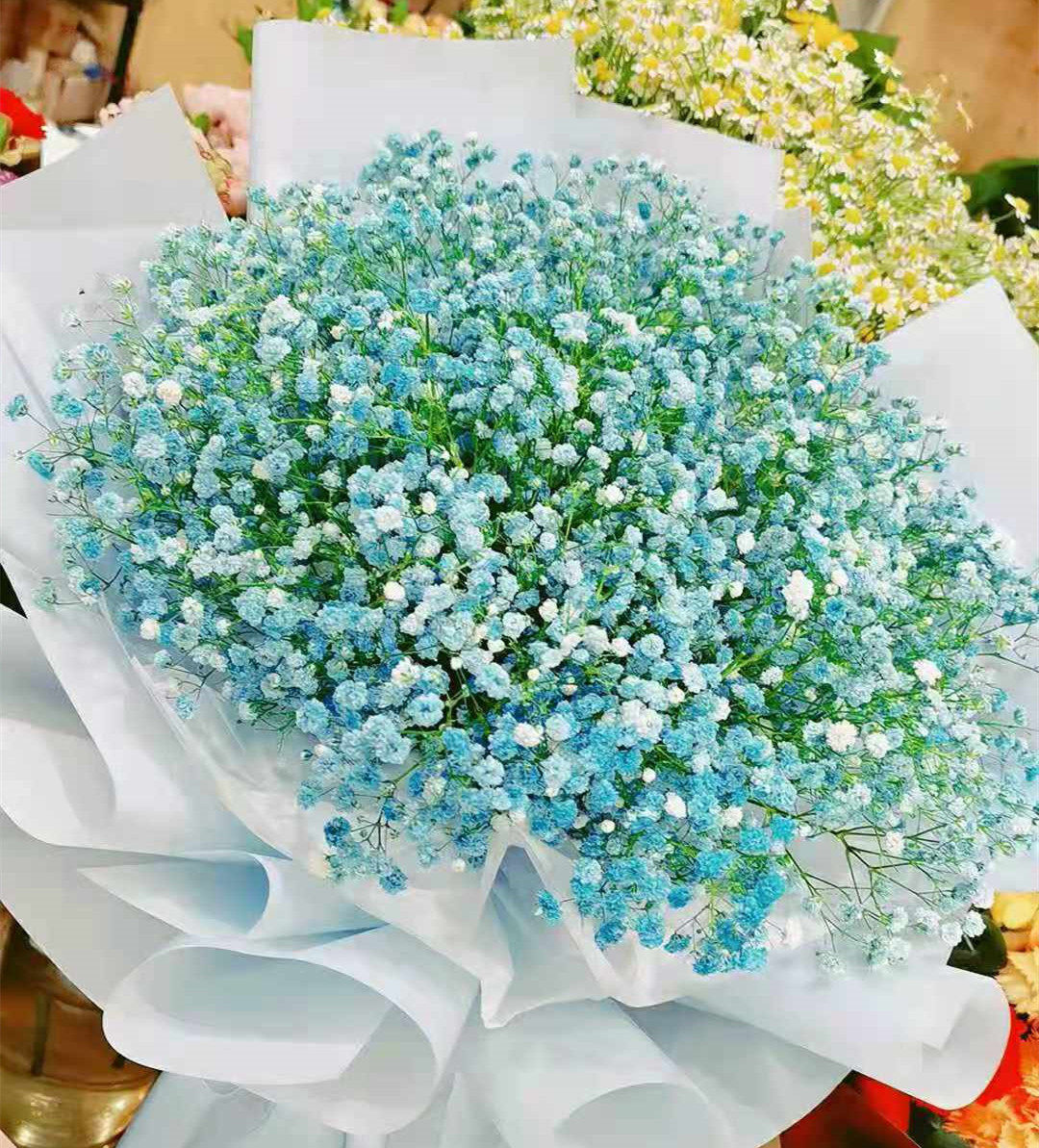 和满天星一样的花,满天星还有什么花,满天星的花朵像_大山谷图库