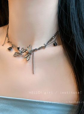 枪黑幻彩蜻蜓项链女款轻奢锁骨链