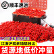 Red worm live bait extra large male worm live fresh