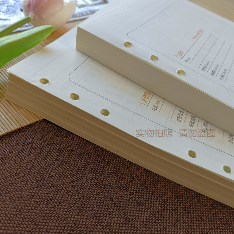 2026年日程本替换芯工作记事本子日程表记事本效率本活页芯6孔9孔,淘宝优惠券,粉丝福利购,淘宝优惠卷