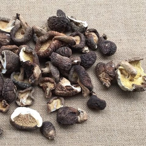 特价椴木香菇冬菇大小菇丁碎块薄片酒店餐厅家用实惠包饺子馅500g,淘宝优惠券,粉丝福利购,淘宝优惠卷