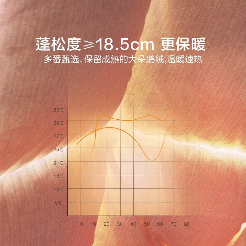 罗莱家纺95鹅绒被羽绒被子母被芯春秋二合一阻螨加厚分区保暖冬被,淘宝优惠券,粉丝福利购,淘宝优惠卷