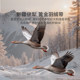 Luolai Class A goose down all-season warm and mite-resistant winter quilt