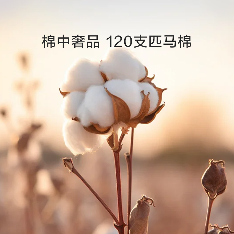 罗莱家纺120支双股匹马棉四件套全棉纯棉酒店高档床品轻奢被套 - 图0