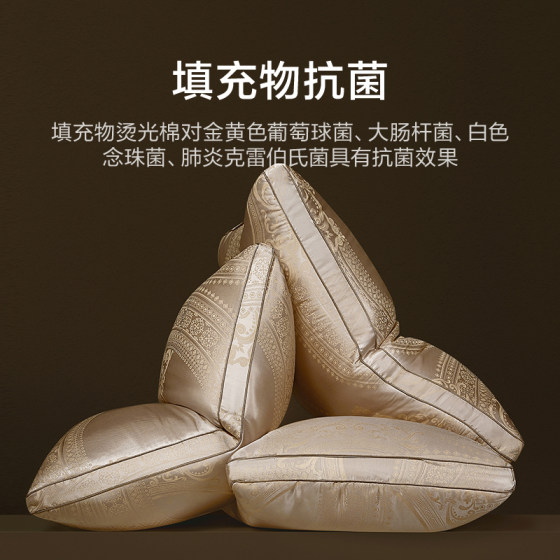 Luolai Home Textile Pillow Core Dormitory Bedroom Polish Imported Class A 95 White Goose Down Fiber Pillow Adult Single Pack