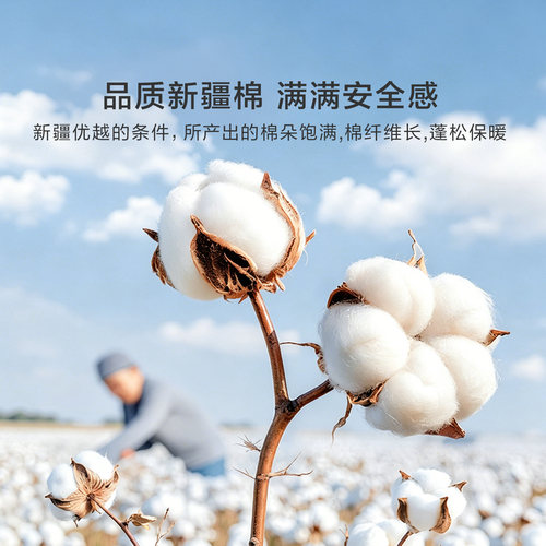 罗莱家纺棉被子被芯100%新疆全棉棉花春秋被四季通用夏凉被空调被 - 图0