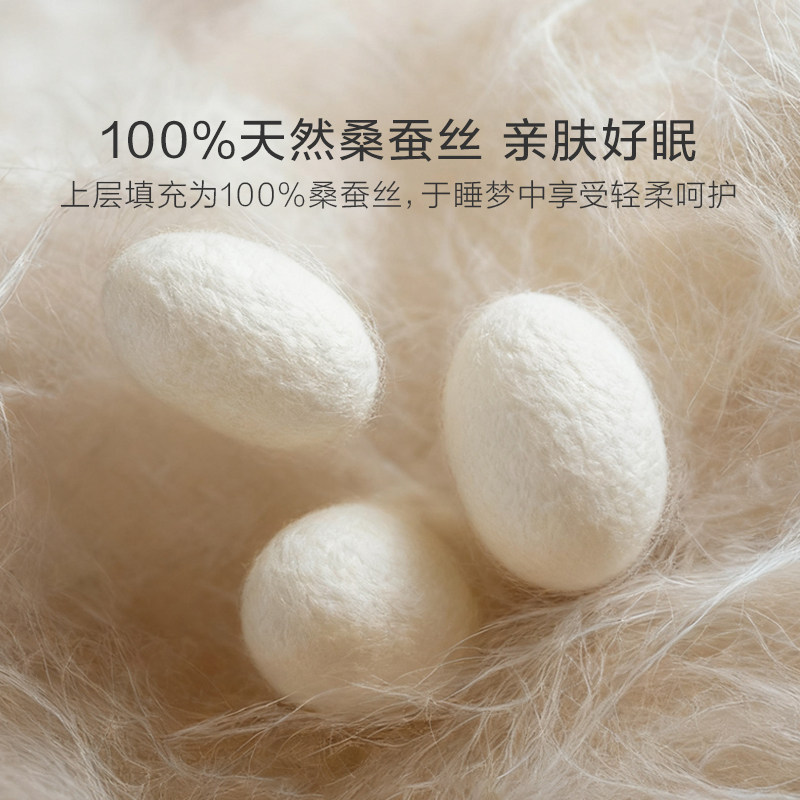 罗莱家纺桑蚕丝枕头成人抗菌防螨可水洗护颈椎睡眠家用蚕丝枕芯,淘宝优惠券,粉丝福利购,淘宝优惠卷