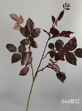 玫瑰叶绿植叶材 北欧风家居样板间橱窗婚庆布景装饰摄影直播道具