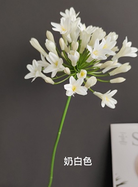 仿真花百子莲非洲君子兰家居装饰软装插花摆件婚庆造景摄影道具