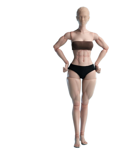 1/6 female body muscle version AT2061/6
