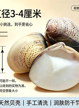 老上海蛤蜊油护手霜冬天防冻防裂干裂手油老式胡壳嘎啦油歪子油