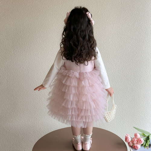 女童公主裙春秋儿童春装蛋糕裙2026新款宝宝裙子两件套蓬蓬网纱裙 - 图2
