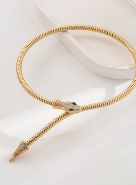 和鸣跨境欧美新款个性创意朋克风金属镶钻吸蛇百搭蛇骨链项圈套装