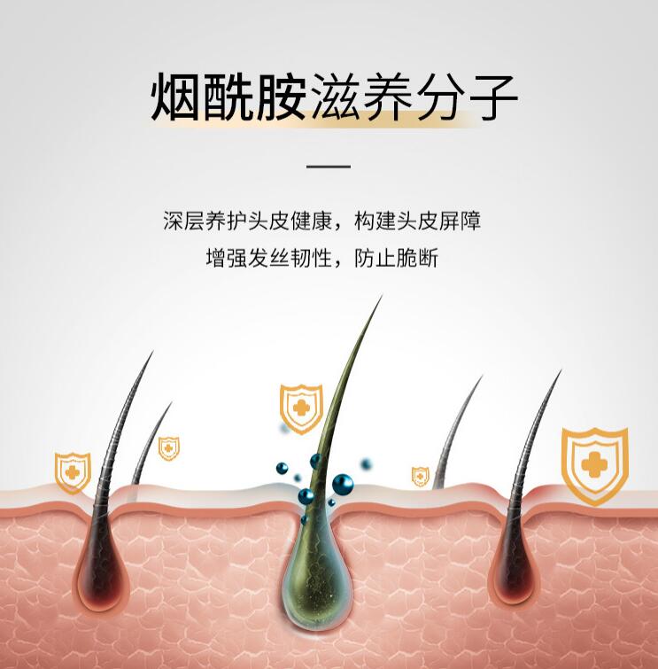 澳洲进口Dermal Therapy头皮舒缓洗发护发2合1护发素洗发露 210ml - 图3