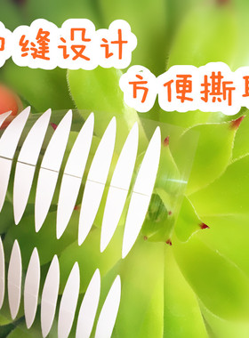 新品橄榄型 双面双眼皮贴防水超粘持久美目贴自然隐形透明240枚