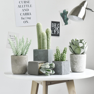 仿真仙人掌盆栽摆件