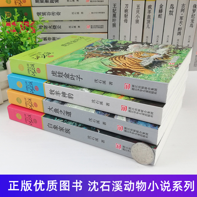 正版沈石溪动物小说大王品藏书系全集十大经典狼王梦最后一头战象狼国女王斑羚飞渡红飘带狮王第七条猎狗白象家族精品集书籍非必读-图1