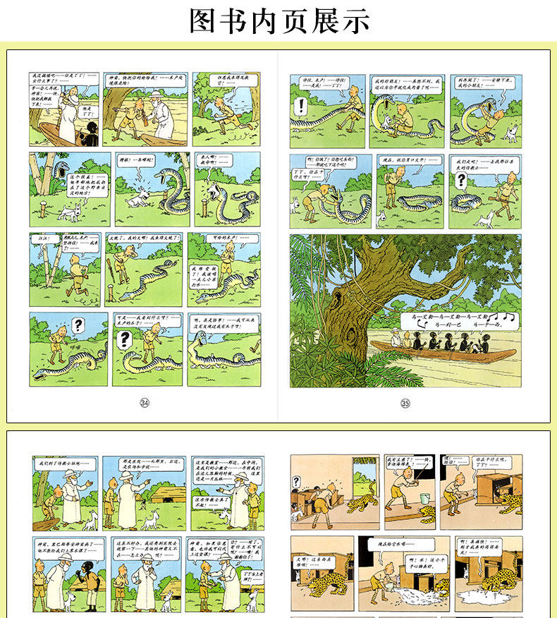 丁丁历险记全套22册8-10岁儿童漫画书小学生一二年级课外阅读物书籍中国少年儿童出版社丁丁在刚果美洲英文原版翻译非注音小开本 - 图2