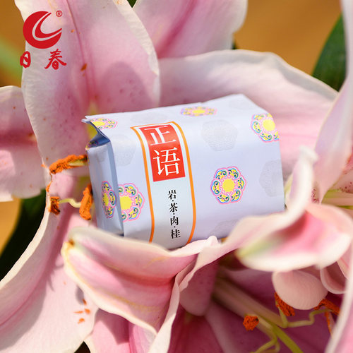 日春茶叶武夷岩茶【正语武夷肉桂鲜香1000】红方礼盒装小鲜肉252g - 图2