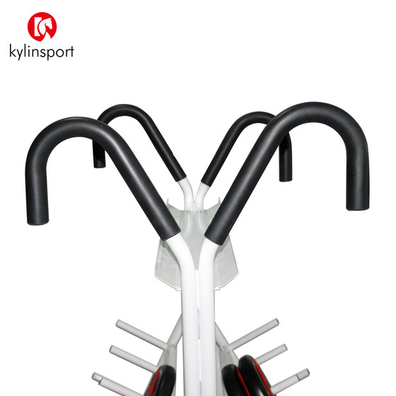 Barbell rack with removable Olympic bar to store fitness equipment