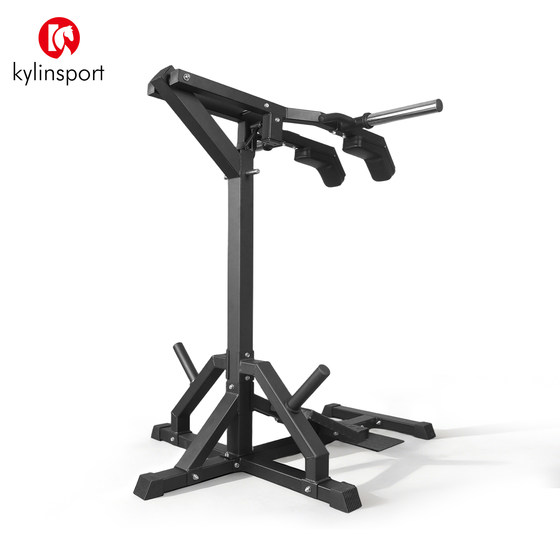 Hack Squat Single Standing Gym