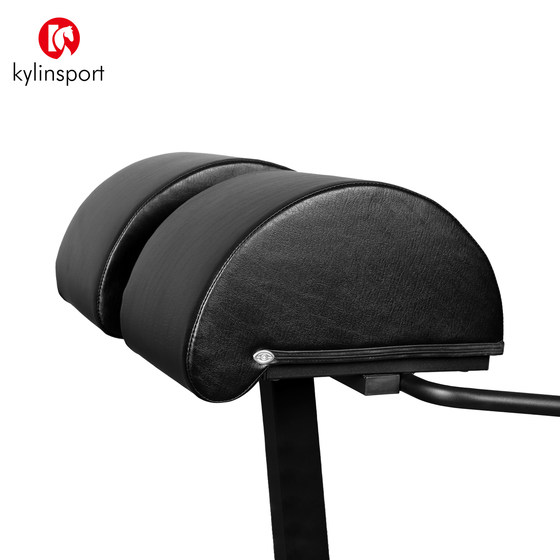 Roman chair fitness chair goat push up waist power back