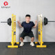 Multifunctional fitness equipment parallel bar set bench press rack