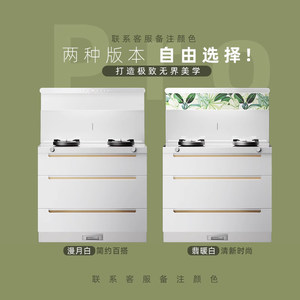 【颜值新品】优盟Q3B白色集成灶一体灶家用燃气灶油烟机消毒柜