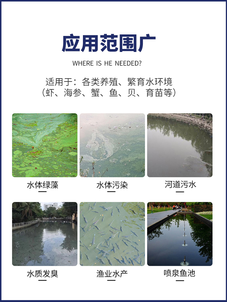 微生物污水处理剂工业城市污水养殖场化粪池水处理活性污泥菌种 - 图0