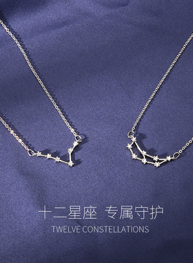 十二星座专属项链小众锁骨链