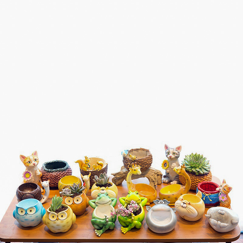 图5