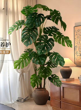 仿真绿植龟背竹高端逼真盆栽办公室装饰摆件客厅落地仿生假树植物