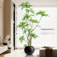 The top ten achievements of simulated green plants indoors, fake plants, floor-standing potted plants, wabi-sabi style, advanced bionic plant decorative ornaments