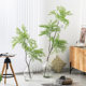 Nordic simulated green plants Japanese nandina bamboo