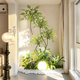 Simulated green plants and landscaping combination, high-end indoor landscaping, window display, fake green plants and bionic plants for under-stairs decoration