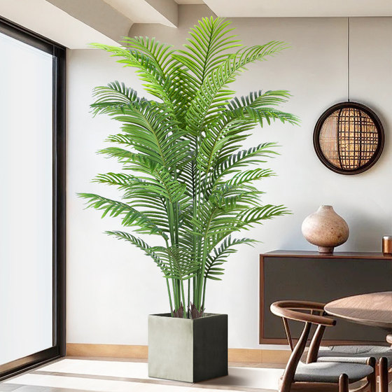 Green plants in the living room! Decorative ornaments next to the sofa and TV!