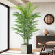 Green plants in the living room! Decorative ornaments next to the sofa and TV!