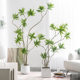 Potted floor-standing ornaments Sentai living room sofa side
