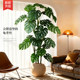 Simulated green plants, high-end realistic Monstera potted plants, fake green plant ornaments, decorative artificial flowers, simulated flower ornaments