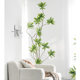 Potted floor-standing ornaments Sentai living room sofa side