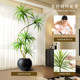 Light luxury living room decoration dragon blood tree large potted plant