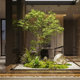 High-quality mazui wood green plants and large artificial trees for landscaping