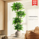 Simulated green plant happiness tree living room large potted indoor light luxury decorative flower bionic plant floor-standing ornament fake tree