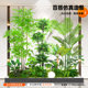 Simulated green plants and landscaping combination, high-end indoor landscaping, window display, fake green plants and bionic plants for under-stairs decoration