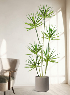 轻奢仿真绿植龙血树室内假植物