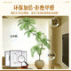 The new favorite in home decoration, simulated jacaranda
