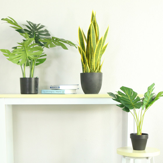Simulated Plant Traveler Banana Potted Large Interior Decoration